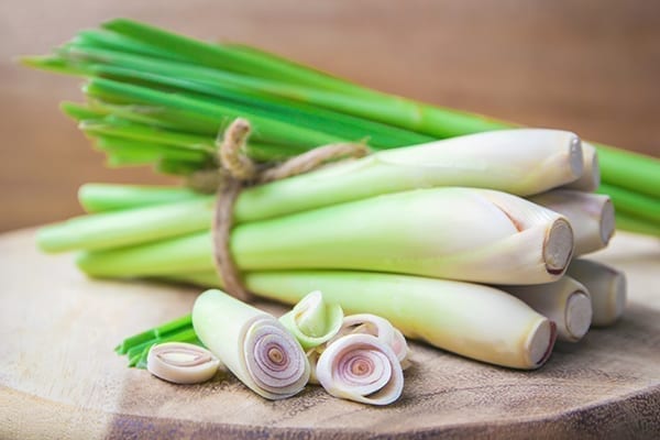 Where can I find fresh lemongrass?